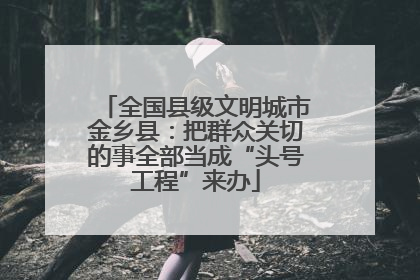 全国县级文明城市金乡县：把群众关切的事全部当成“头号工程”来办